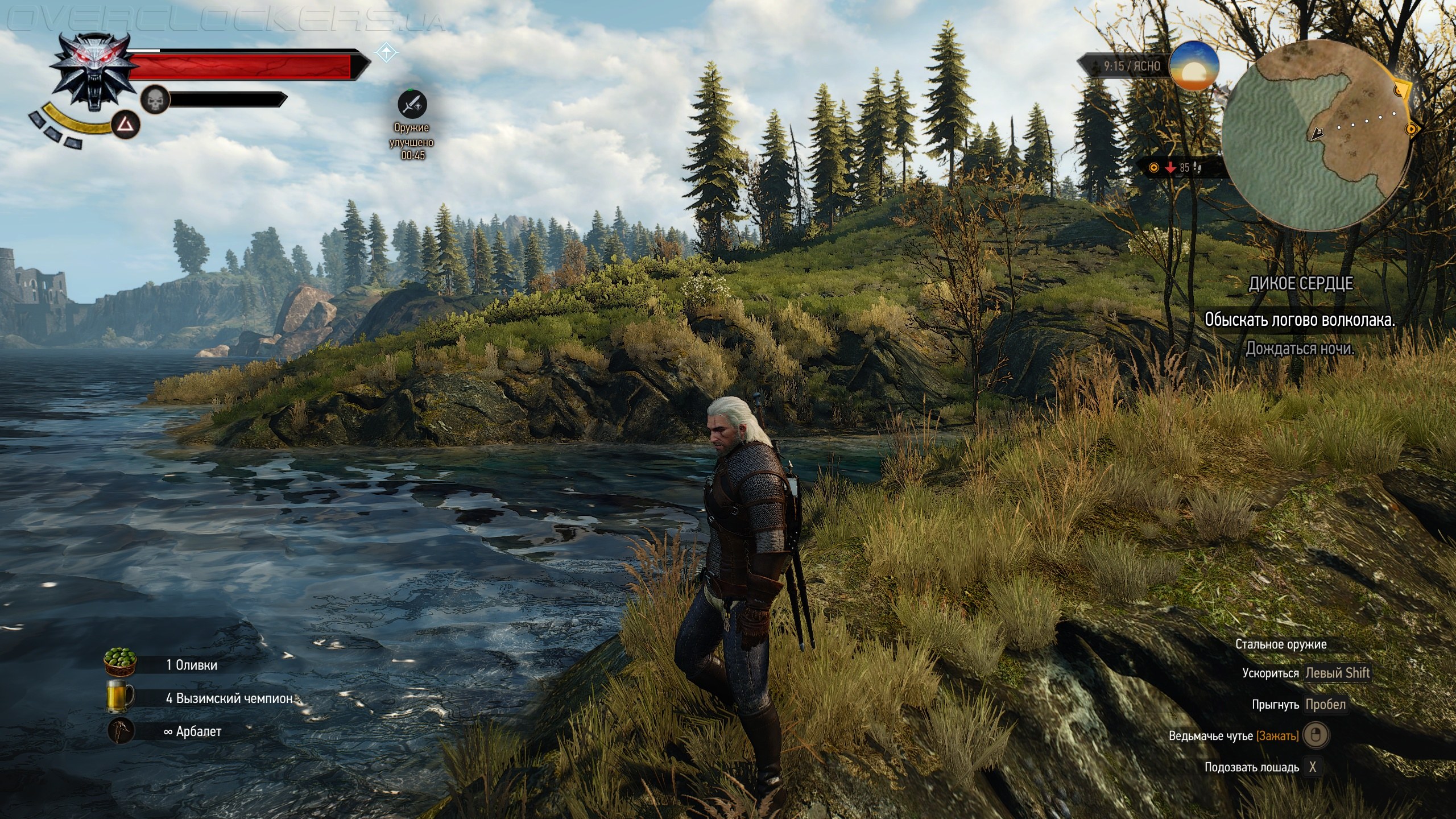 The witcher 3 for pc фото 104