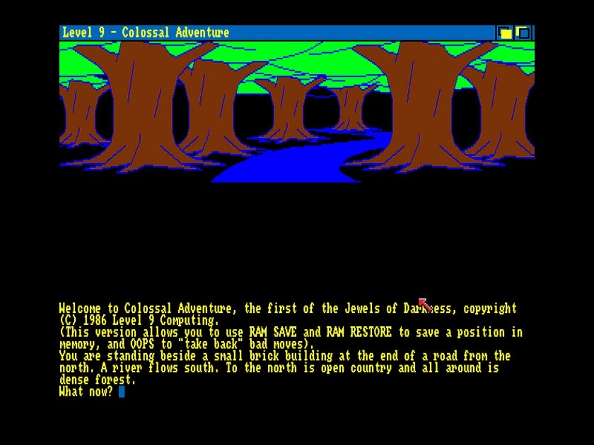 Текстовой игры. Colossal Cave Adventure игра. Colossal Cave Adventure 1975. Текстовая игра Adventure. Текстовые приключения игры.