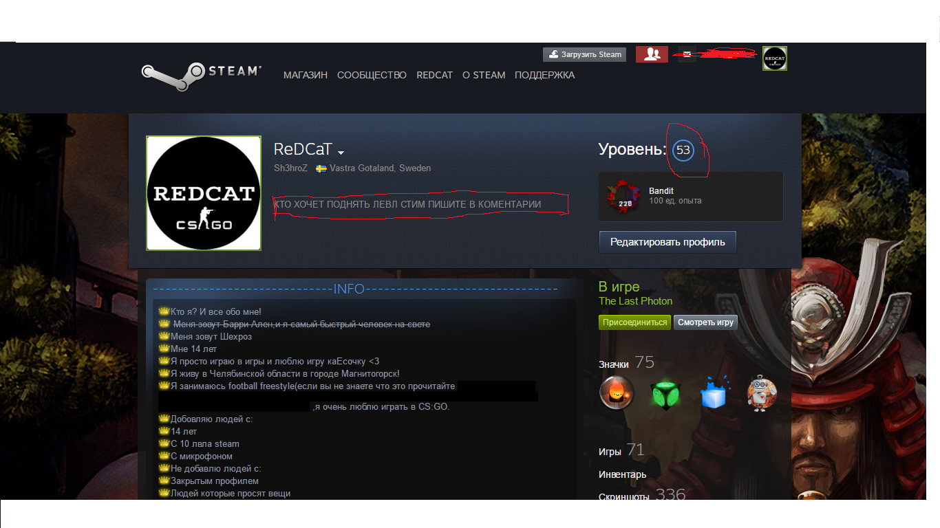 Steam игровой профиль. О себе для профиля в стим. Описание профиля стим. Красивое описание стим. Прикольные профиля стим.