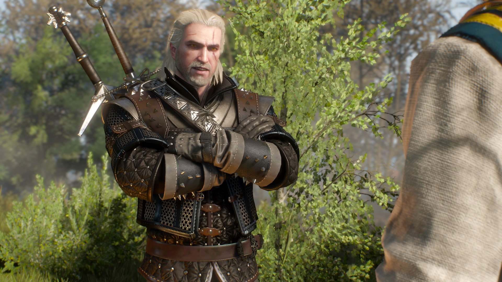 The witcher 3 броня школ фото 50