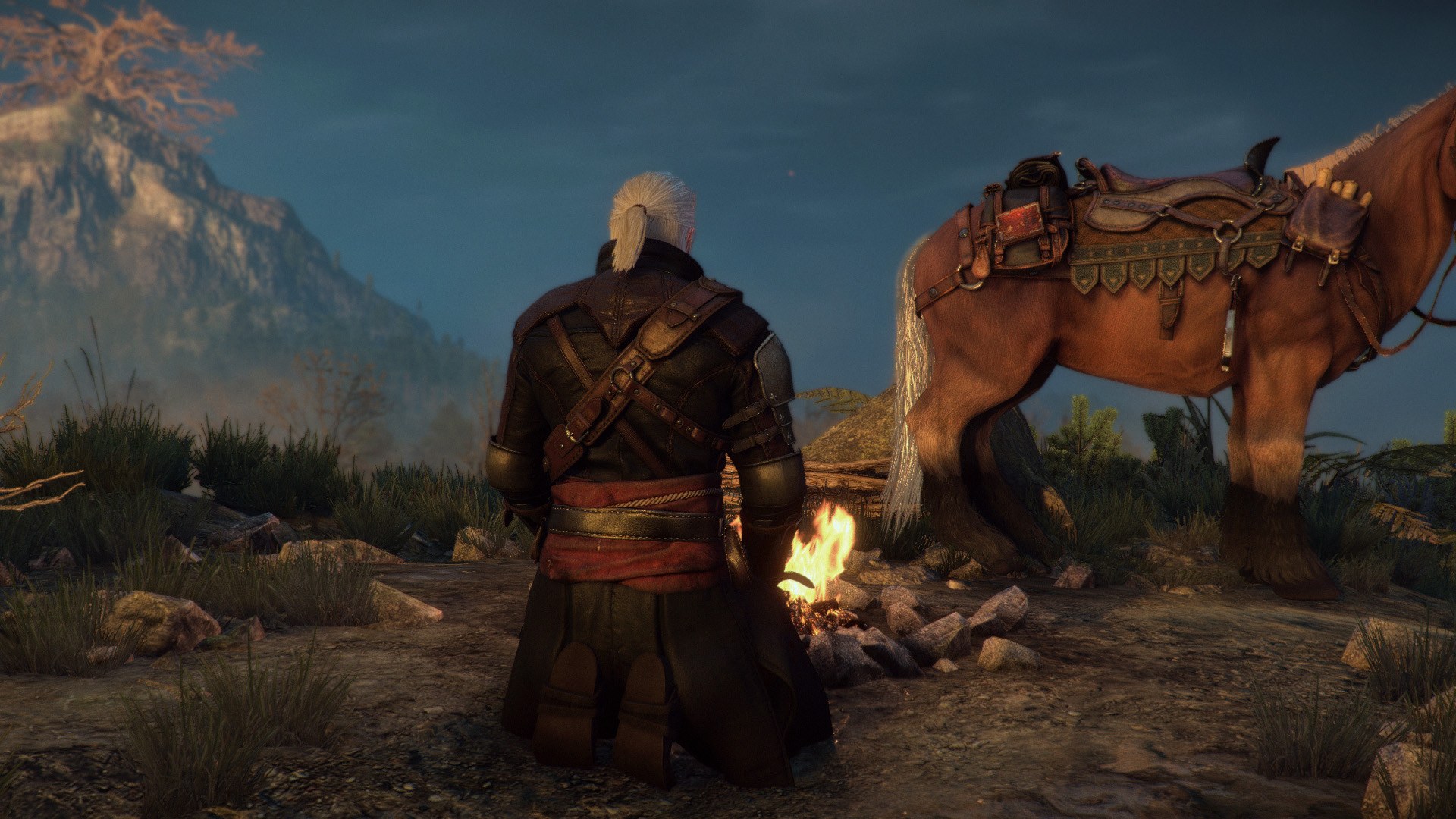 Ведьмак 3 газ. Witcher 3: Wild Hunt "Vagabond Armor DLC новая броня с плащом". Vagabond Ведьмак 3. DLC Ведьмак 3. Vagabond Armor.