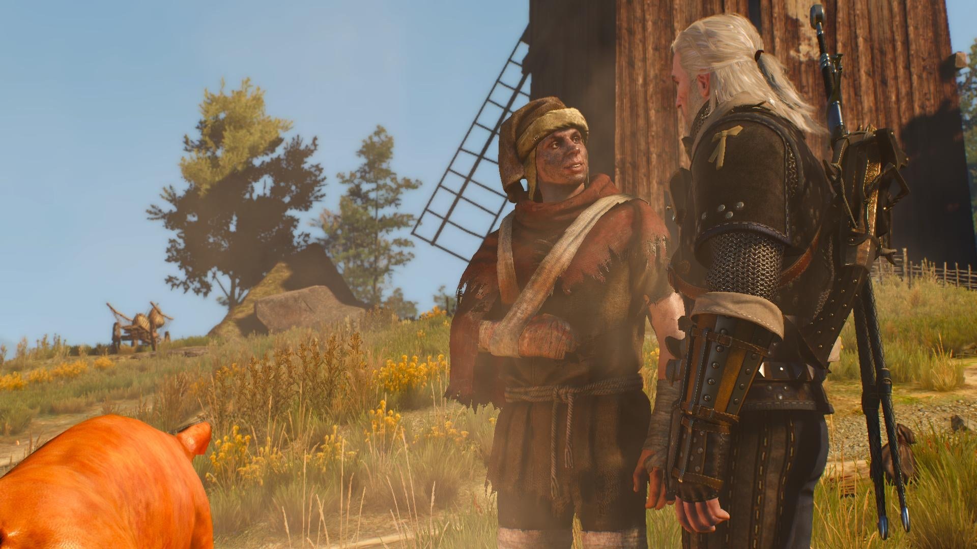 Квест железная Дева Ведьмак 3. Witcher 3 DLC. Ведьмак 3 золото дураков квест. Ведьмак 3 плоть на продажу.