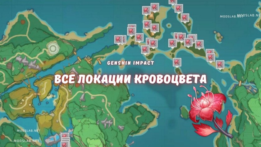 Джинн Геншин Импакт билд