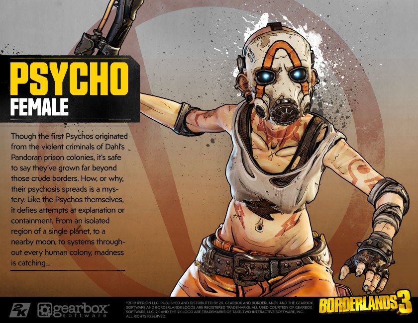 Косметический набор ретро Borderlands 3