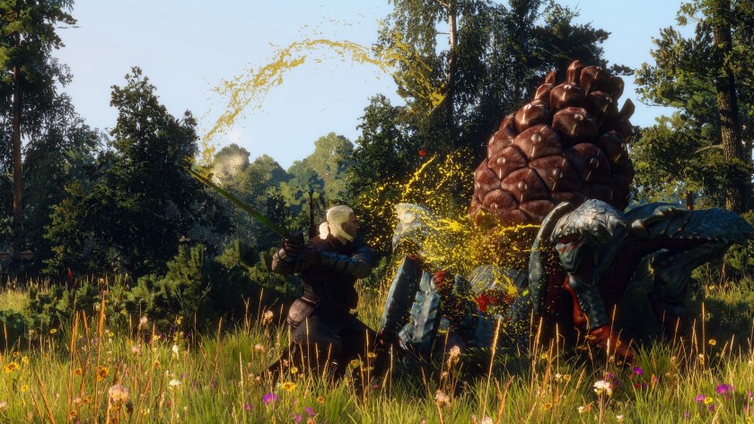 Witcher 3 Темерские доспехи