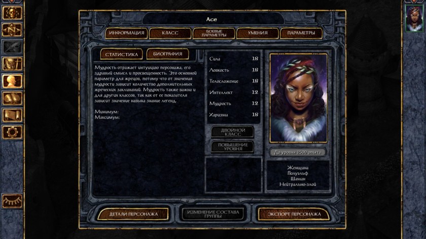 Baldur's Gate 2 Inventory