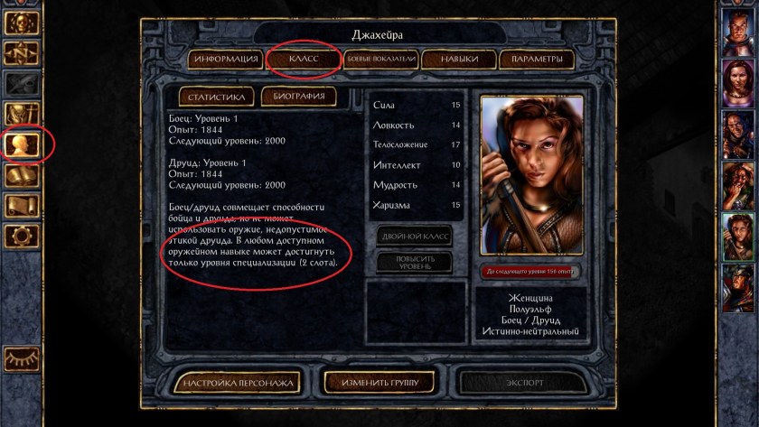 Dual класс Baldur's Gate