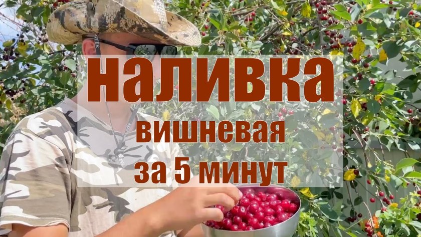 Рецепты домашних наливок и настоек
