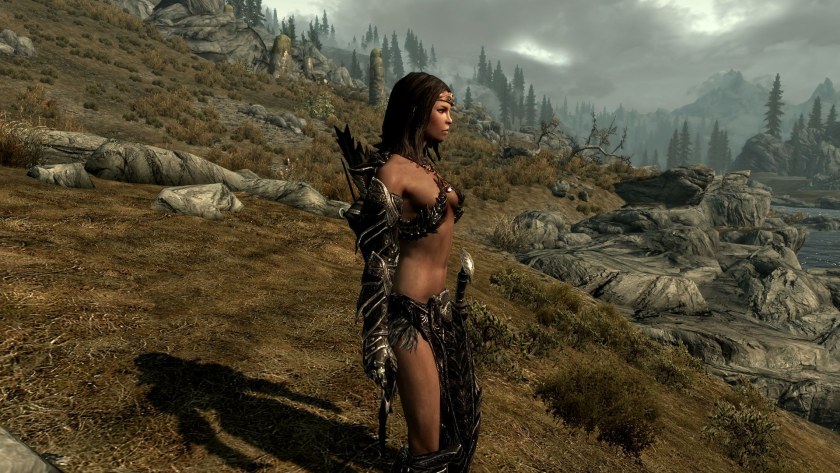 Skyrim Армор реплейсер