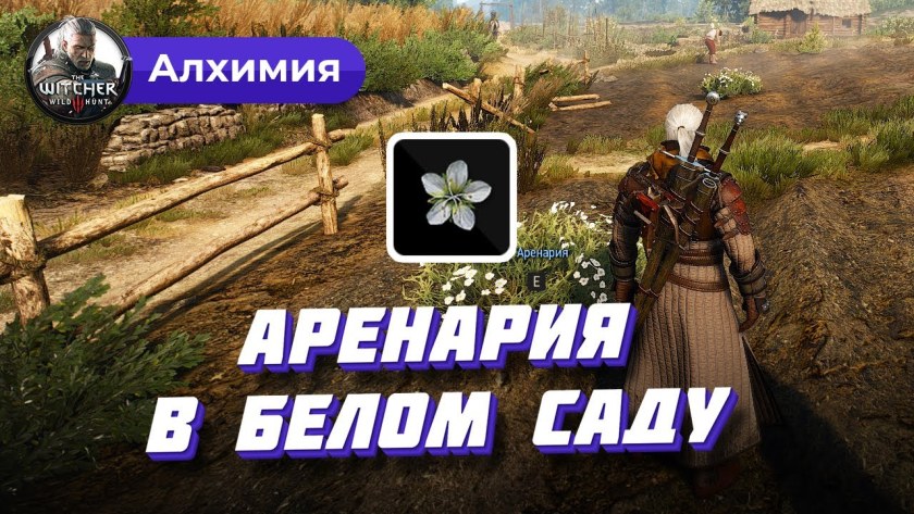 Продавец красок Ведьмак 3