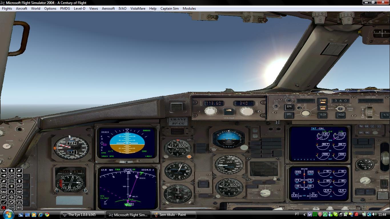 Flight sim to