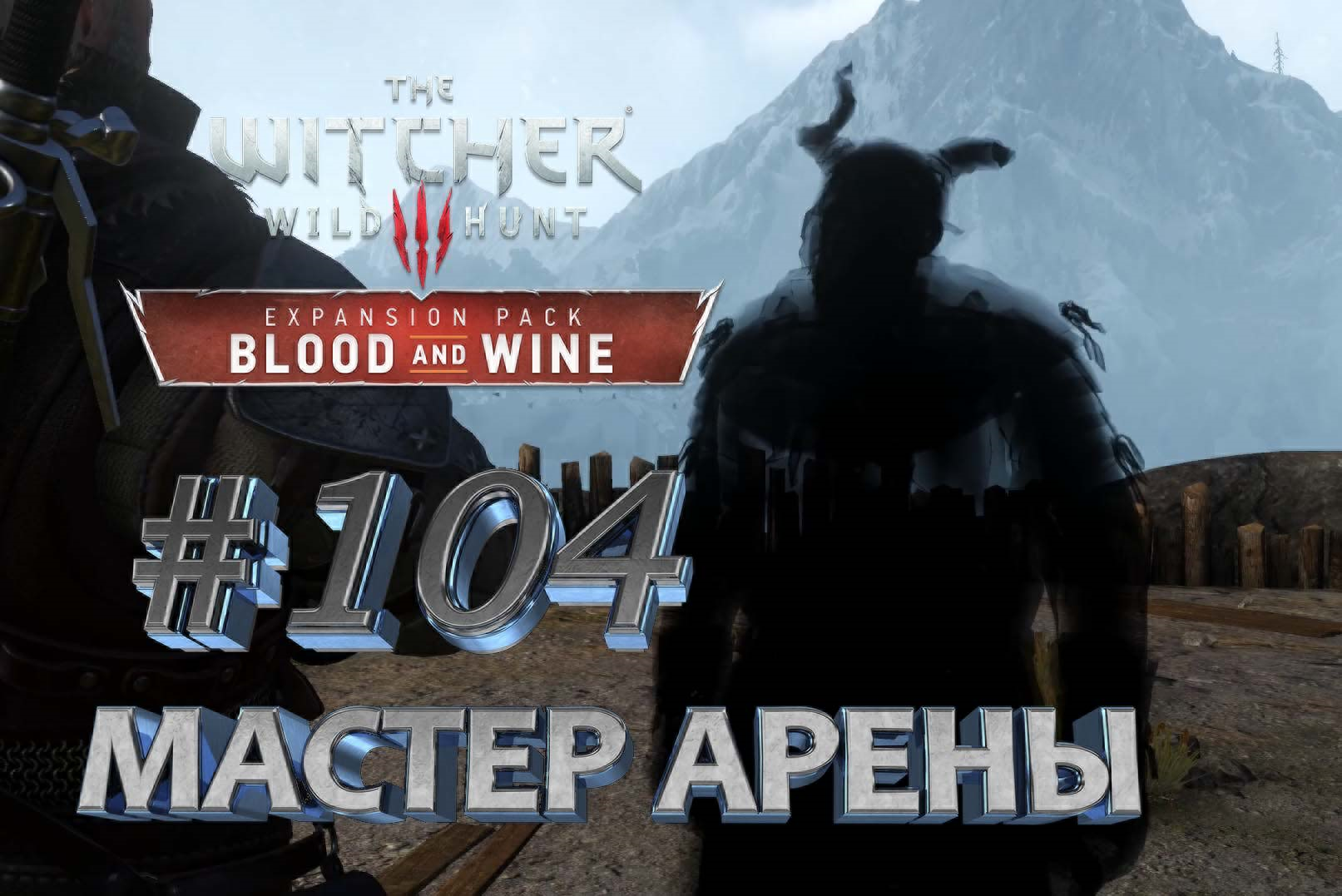 Мастер арены. Арена мастер. The Witcher 3 Wild Hunt City.