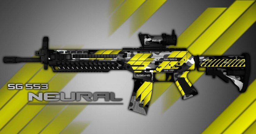 SG 553 коллекция