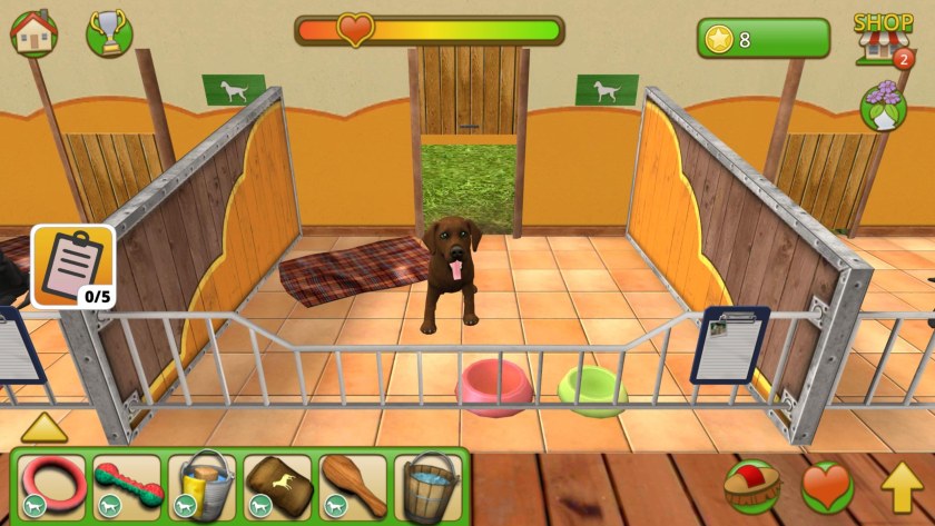PETWORLD приют для животных