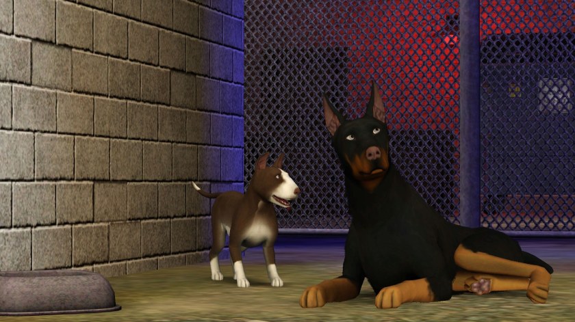 SIMS 3 питомцы Limited Edition