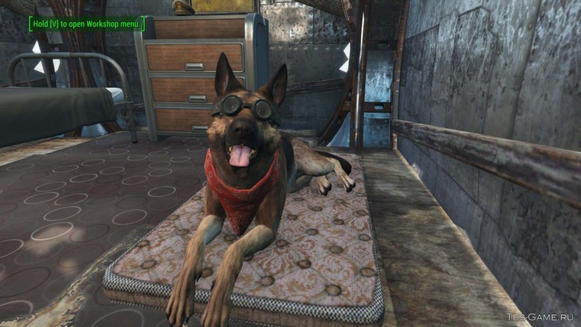 Фоллаут 4 Dogmeat