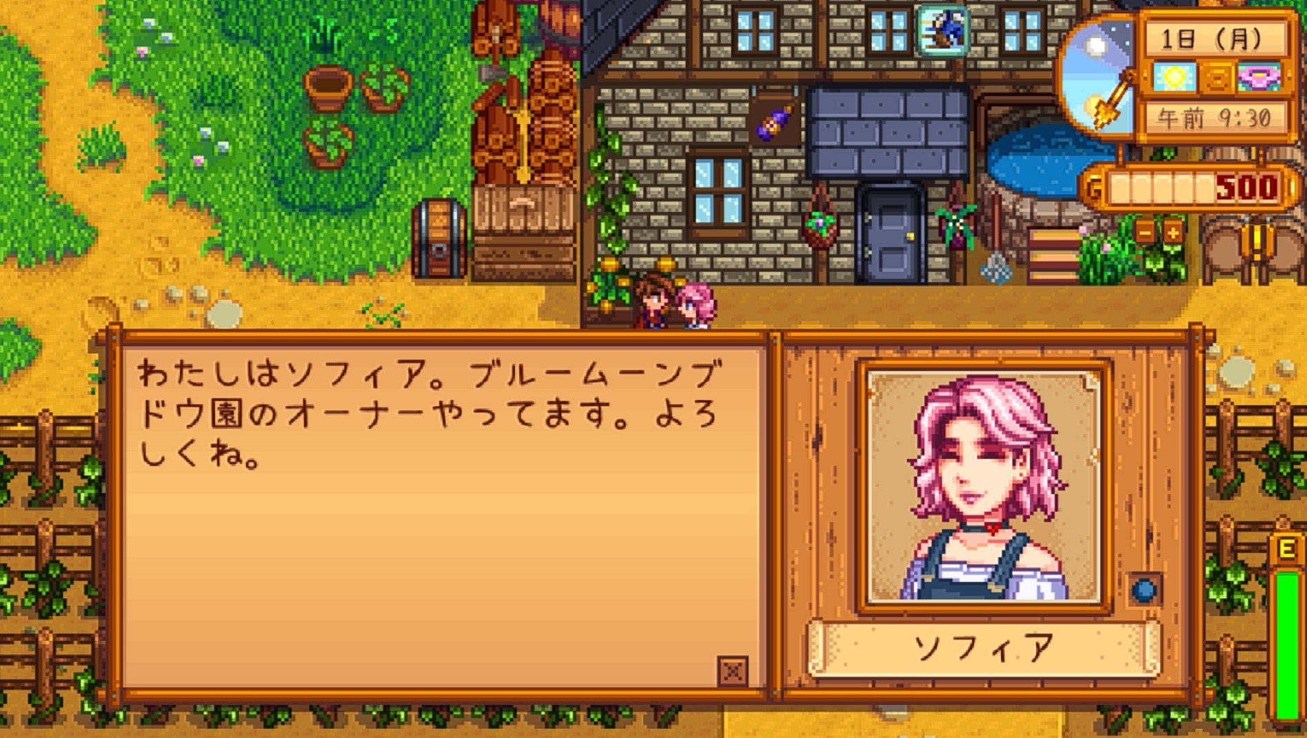 Stardew valley nexus