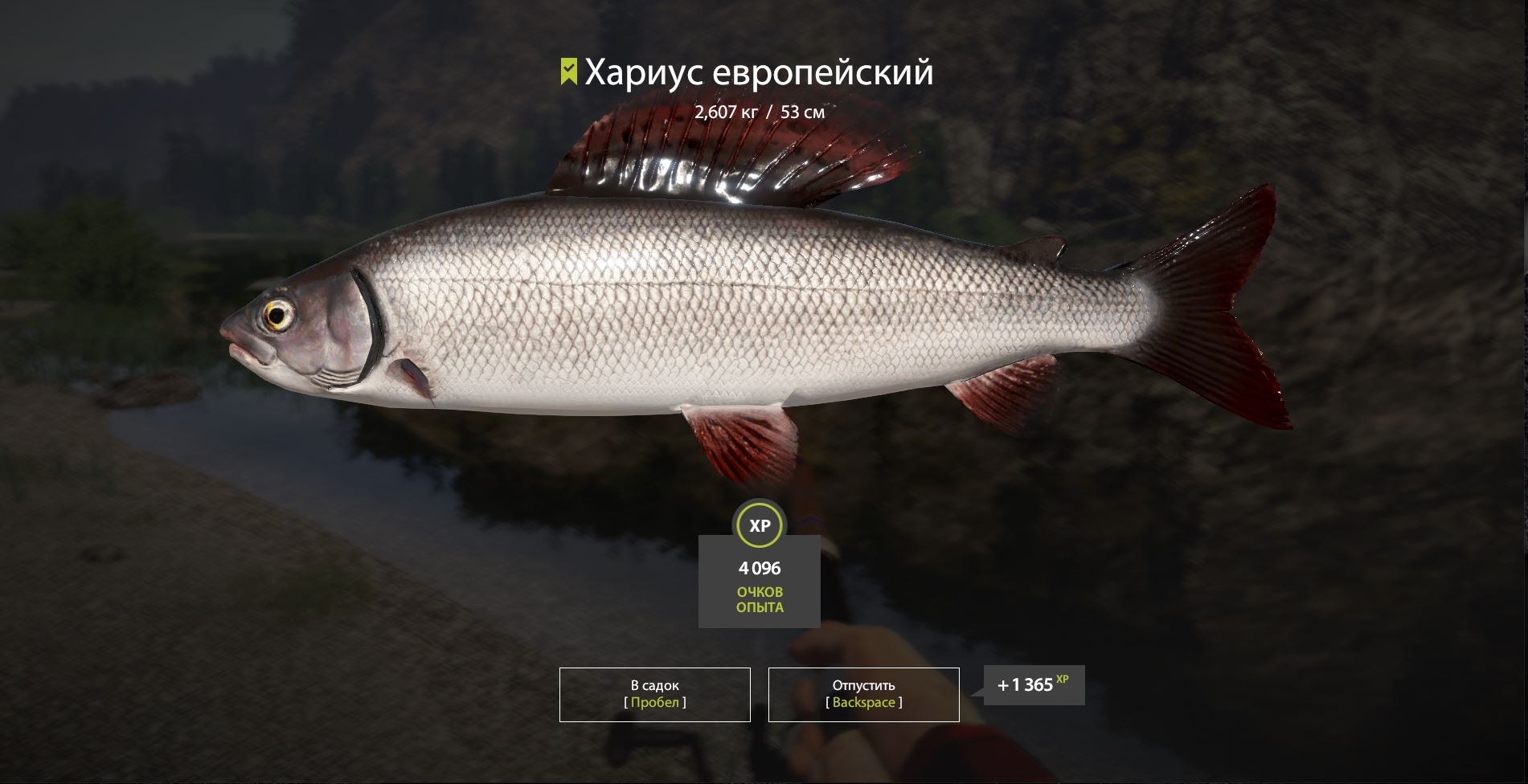 русская рыбалка 4 стим игровой сервер не отвечает фото 115