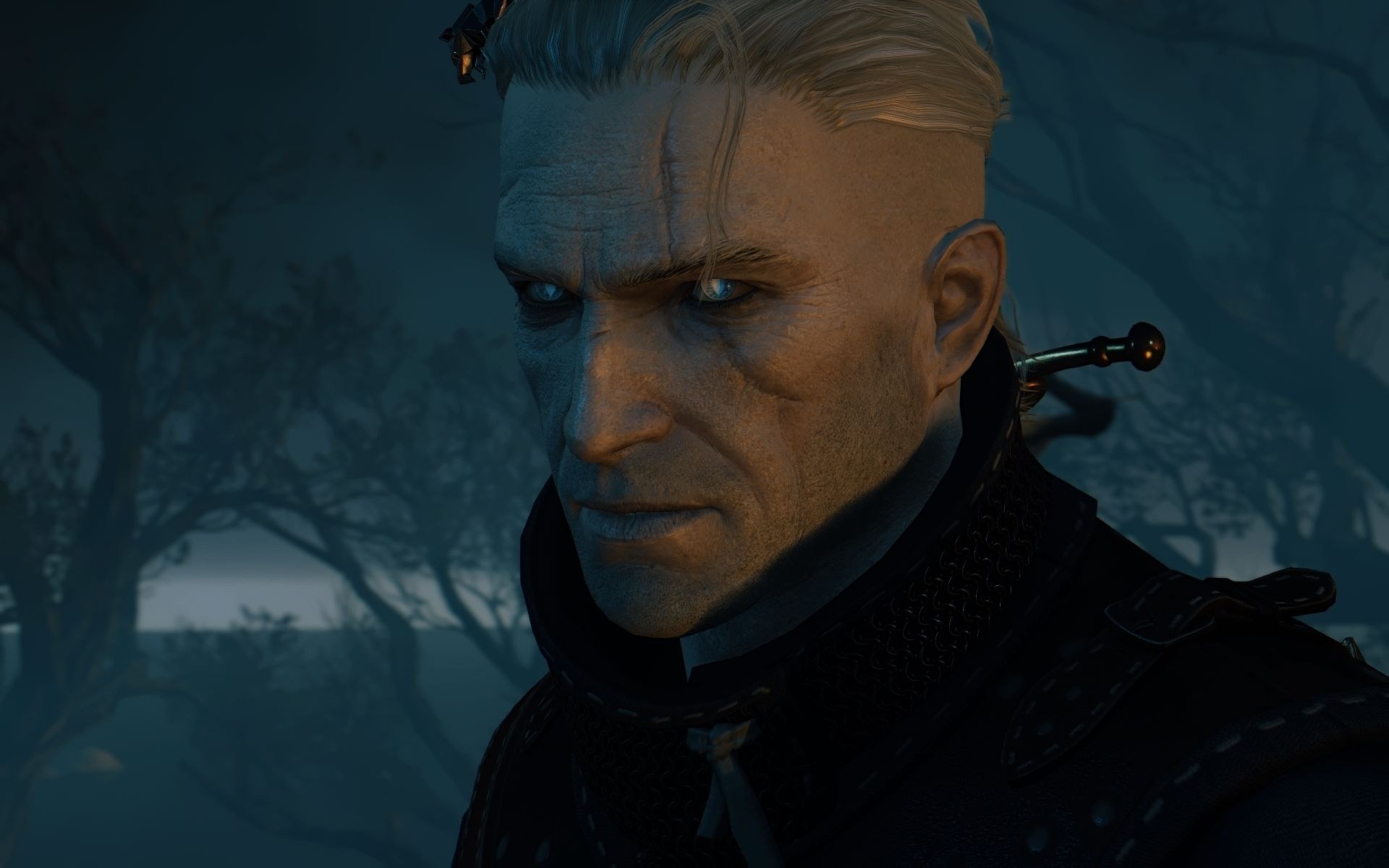 The witcher 3 мод глаза фото 7