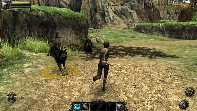 Iron Blade: Medieval RPG